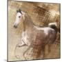 Golden Grey-Kari Brooks-Mounted Art Print