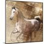 Golden Grey-Kari Brooks-Mounted Art Print