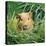 Golden Guinea Pig in Long Grass, UK-Jane Burton-Stretched Canvas