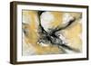 Golden Harmony-Stella Chang-Framed Art Print