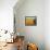Golden Harvest, 2002-Radi Nedelchev-Framed Stretched Canvas displayed on a wall