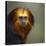 Golden-Headed Lion Tamarin (Leontopithecus Chrysomelas) Captive Portrait-Juan Carlos Munoz-Stretched Canvas