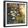 Golden hedgerow II, 2014,-Helen White-Framed Giclee Print