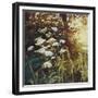 Golden Hedgerows II, 2013-Helen White-Framed Giclee Print