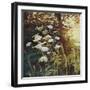 Golden hedgerows II, 2013,-Helen White-Framed Giclee Print