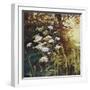 Golden hedgerows II, 2013,-Helen White-Framed Giclee Print