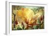 Golden Hibiscus-Elizabeth Horning-Framed Premium Giclee Print