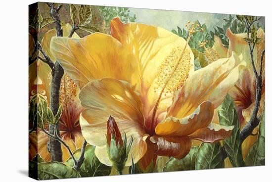 Golden Hibiscus-Elizabeth Horning-Stretched Canvas