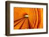 Golden Highway Rail Abstract Underground Railway Pudong Bund Shanghai, China-William Perry-Framed Photographic Print