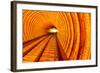 Golden Highway Rail Abstract Underground Railway Pudong Bund Shanghai, China-William Perry-Framed Photographic Print