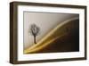 Golden Hills-null-Framed Art Print