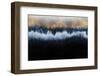 Golden Horizon-Elisabeth Fredriksson-Framed Photographic Print