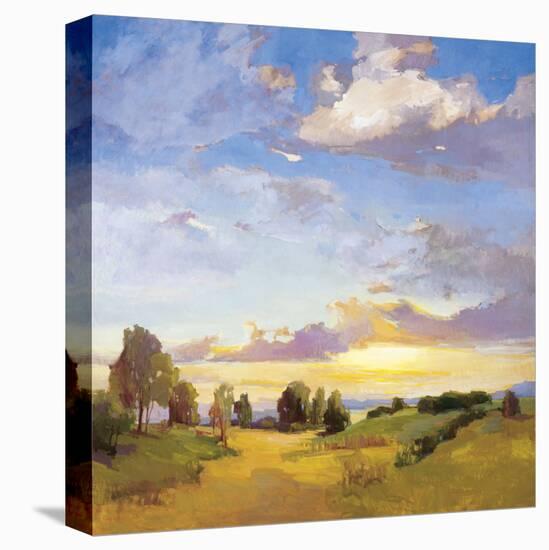 Golden Horizons-Vicki Mcmurry-Stretched Canvas