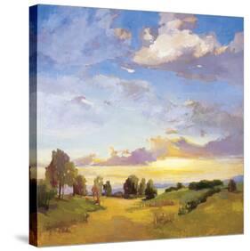 Golden Horizons-Vicki Mcmurry-Stretched Canvas