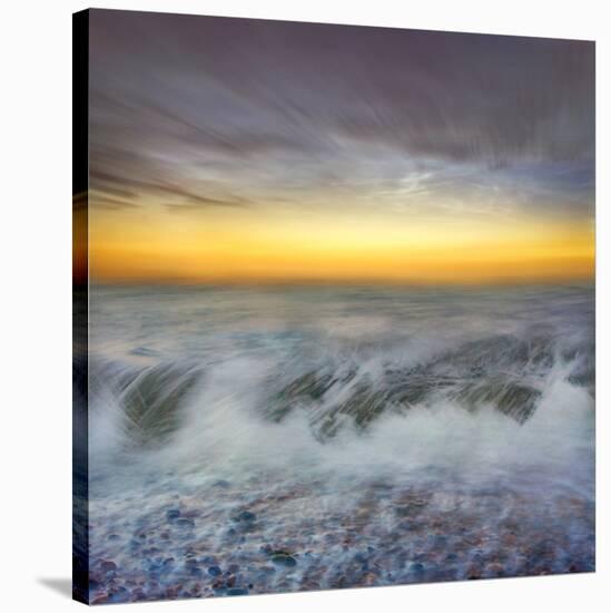 Golden Horizons-Adrian Campfield-Stretched Canvas