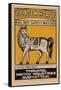 Golden Horse Avg. 50's Safety Matches-null-Framed Stretched Canvas