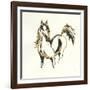 Golden Horse VII-Chris Paschke-Framed Art Print