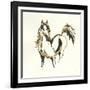 Golden Horse VII-Chris Paschke-Framed Art Print
