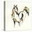 Golden Horse VII-Chris Paschke-Stretched Canvas