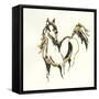 Golden Horse VII-Chris Paschke-Framed Stretched Canvas