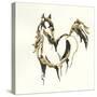 Golden Horse VII-Chris Paschke-Stretched Canvas