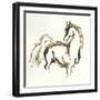 Golden Horse VIII-Chris Paschke-Framed Art Print