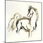 Golden Horse VIII-Chris Paschke-Mounted Art Print