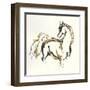 Golden Horse VIII-Chris Paschke-Framed Art Print