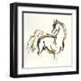 Golden Horse VIII-Chris Paschke-Framed Art Print