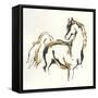 Golden Horse VIII-Chris Paschke-Framed Stretched Canvas