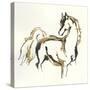 Golden Horse VIII-Chris Paschke-Stretched Canvas
