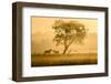 Golden Horses-Richard Guijt-Framed Photographic Print