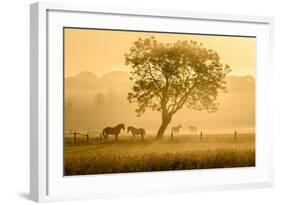 Golden Horses-Richard Guijt-Framed Photographic Print