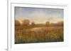 Golden Hour I-Tim O'toole-Framed Art Print