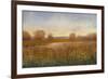 Golden Hour I-Tim O'toole-Framed Art Print