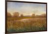 Golden Hour I-Tim O'toole-Framed Art Print