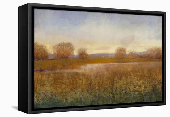 Golden Hour I-Tim O'toole-Framed Stretched Canvas