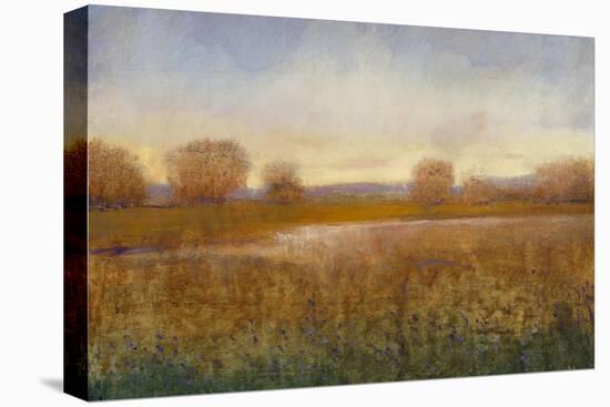 Golden Hour I-Tim O'toole-Stretched Canvas