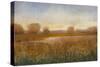 Golden Hour I-Tim O'toole-Stretched Canvas