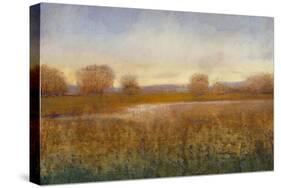 Golden Hour I-Tim O'toole-Stretched Canvas