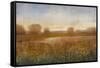 Golden Hour I-Tim O'toole-Framed Stretched Canvas