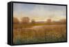 Golden Hour I-Tim O'toole-Framed Stretched Canvas