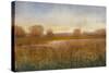 Golden Hour I-Tim O'toole-Stretched Canvas