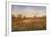 Golden Hour I-Tim O'toole-Framed Art Print