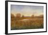 Golden Hour I-Tim O'toole-Framed Art Print