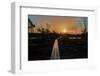 Golden Hour Landscape of a Wooden Hiking Path N the Wetlands of the Cosumnes River Preserve in Galt-Natalja Petuhova-Framed Photographic Print