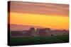 Golden Hour, Petaluma Hills, Farm Scene, Sonoma County-Vincent James-Stretched Canvas