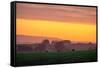 Golden Hour, Petaluma Hills, Farm Scene, Sonoma County-Vincent James-Framed Stretched Canvas