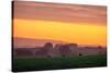 Golden Hour, Petaluma Hills, Farm Scene, Sonoma County-Vincent James-Stretched Canvas