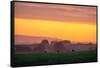 Golden Hour, Petaluma Hills, Farm Scene, Sonoma County-Vincent James-Framed Stretched Canvas